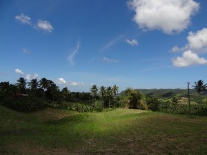 Landschaft im Norden Cebus